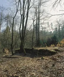 Fels (© Stadt Bad Dürkheim)