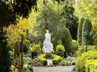 Flora