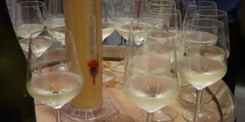 Weinprobe