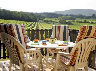 Ausblick Terrasse (© Stadt Bad Dürkheim)