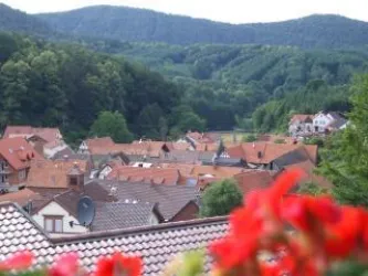 Ausblick vom Haus über den Ort (© Archiv Leistungsträger)