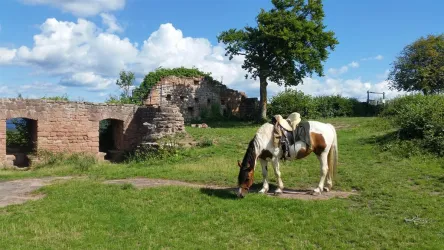 Pferdeurlaub (© Fam. Reiß)
