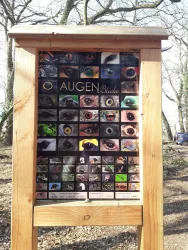 Quiz am Vogellehrpfad