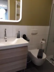 Dusche und Waschtisch mit Fön (© rauch)