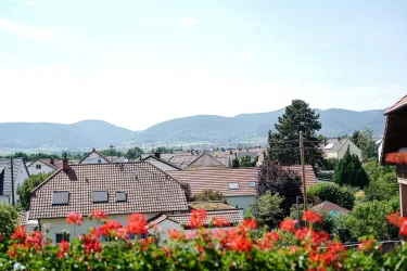 Blick vom Frühstücksraum auf den Pfälzerwald