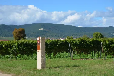 Stele Bibl. Weinpfad vorm Hambacher Schloss