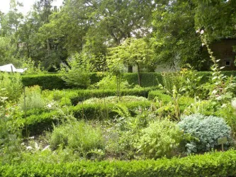 Kräutergarten Kirrweiler