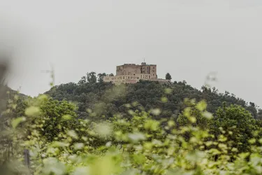 _MG_4137