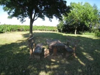 Picknickplatz Biblischer Weinpfad
