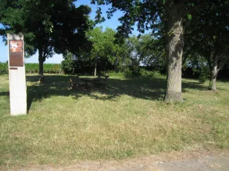 Picknickplatz Biblischer Weinpfad