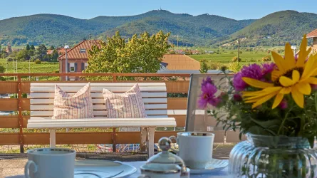 Terrassenblick