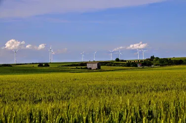 Landschaft (© Verein Südliche Weinstrasse Herxheim e.V.)
