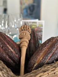 Kakaofruechte_Mesikanischer Holzquirl_Molinilo_Wei