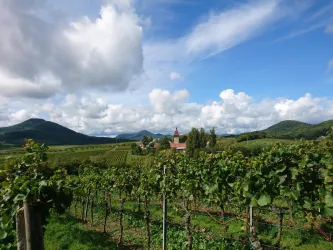 Blick auf den Geilweilerhof