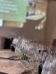Wein-Sensorik-Seminar-Wilhelmshof-Siebeldingen 
