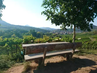 Rastplatz mit Aussicht