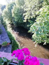 ... durch die Ortsgemeinde Siebeldingen.