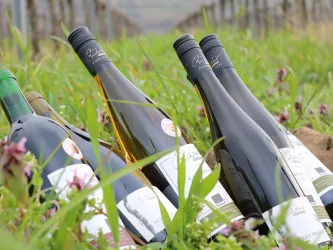 Weine des Bioland Weingut Feitig-Richter
