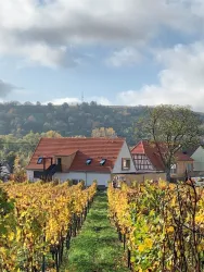 Ois B&B - Lage an den Weinbergen
