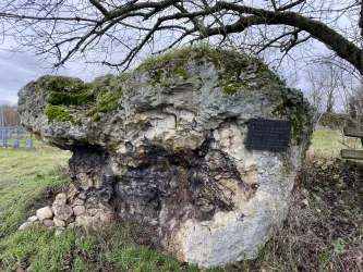 Katzenstein Bockenheim