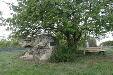 Katzenstein Bockenheim