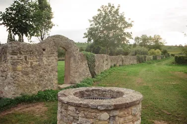 Merowingischer Königshof