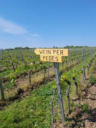 Wegweiser WeinperPedes
