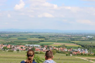 Aussicht Bockenheim