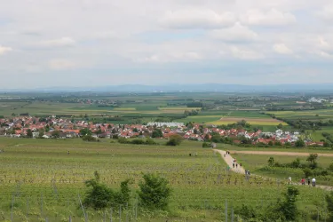 Dorfansicht Bockenheim