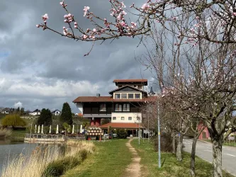 HausderDeutschenWeinstrasse_Mandelblüte_quer