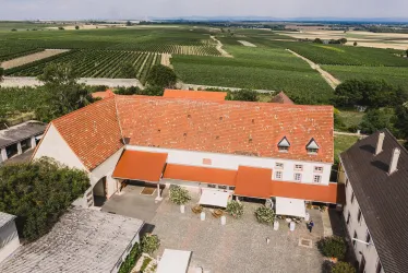 DJI_0246