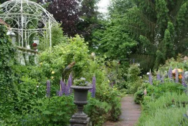 Garten 2 (© B. Dressing)