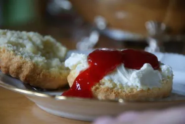 Frühstücksangebot 4 (© B. Dressing)
