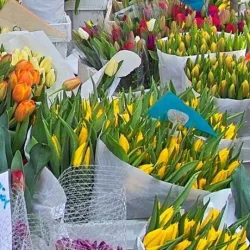 Wochenmarkt Blumen