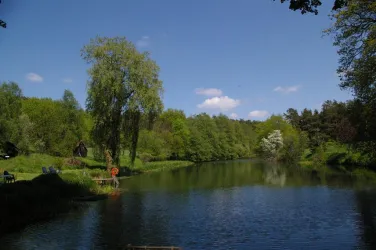 panorama 3 050