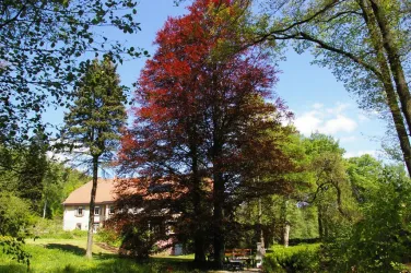 panorama 3 015