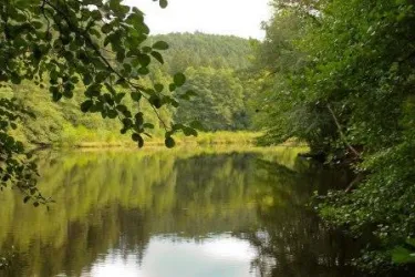 Jagdhausweiher Umgebung Hotel (© Alfons Fröhlich)