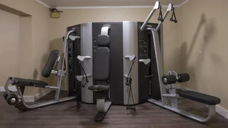 Gym 2019 - 2