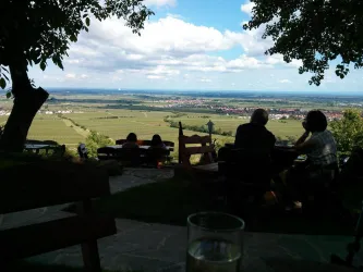 Sicht auf die Rheinebene (© Ferienwohnungen Am Pfaffensee)