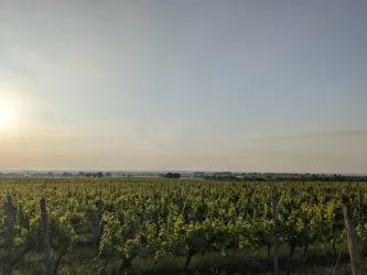 Weinbergslage Zinkelerde