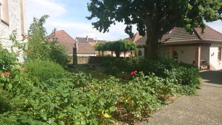 Kirchhof Böchingen