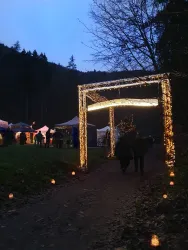 Rinnthaler Winterwald 1 (© Vanessa Seibel)