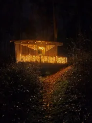 Rinnthaler Winterwald 3 (© Vanessa Seibel)