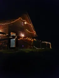 Rinnthaler Winterwald 2 (© Vanessa Seibel)