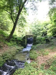Triftanlage (© Archiv Verein SÜW Annweiler e.V.)