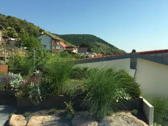 Aussengelände