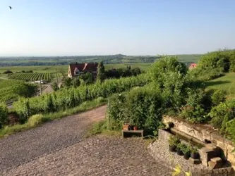 Ausblick in die Rheinebene