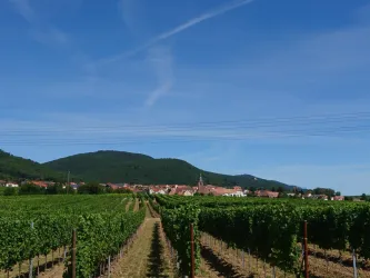 Ausblick auf Frankweiler