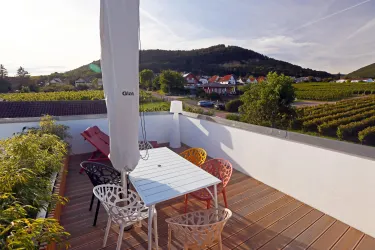 Dachterrasse Bild 1