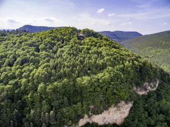Ringelsberghütte über dem ehemaligen Steinbruch (© Knut Pflaumer, Pfalz.Touristik e.V.)